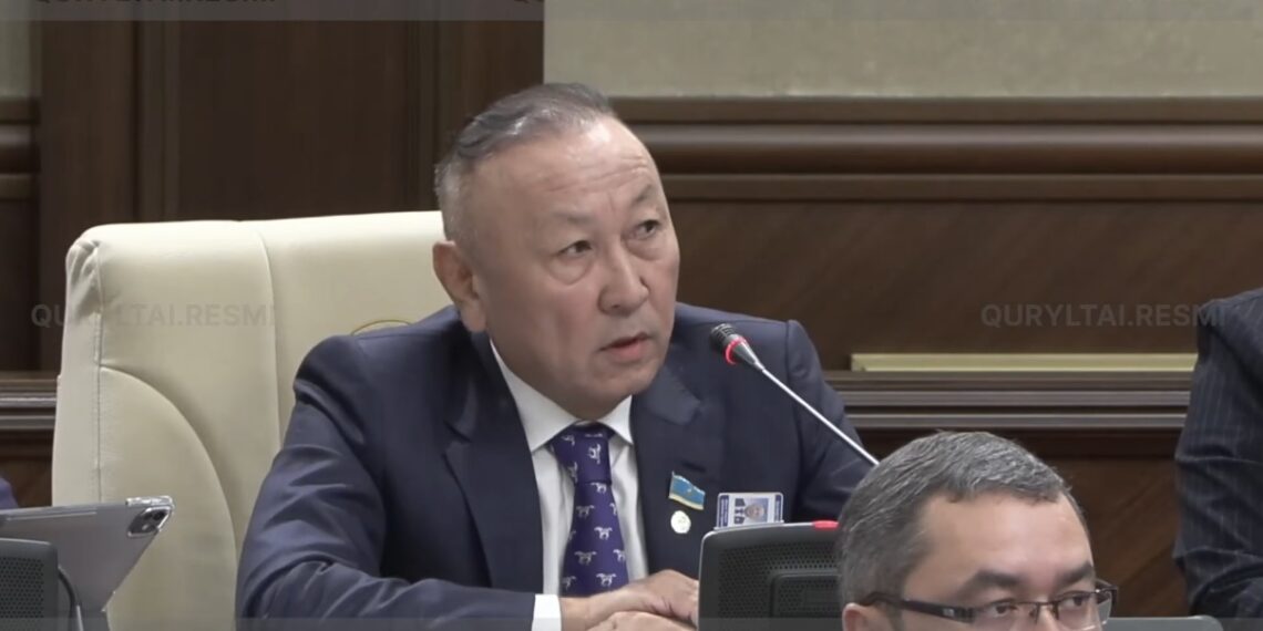 Депутат шағын және орта бизнесті тексеруге мораторий енгізуді ұсынды