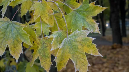 Дожди и похолодание: какой будет погода в Казахстане 1 октября 