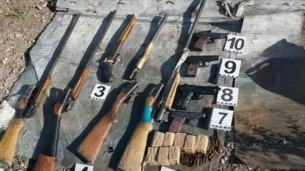 Тысячи стволов на руках: сколько криминального оружия изъяла полиция с начала года