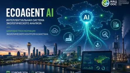 ИИ вместо ручного анализа: как EcoAgent помогает экологам 