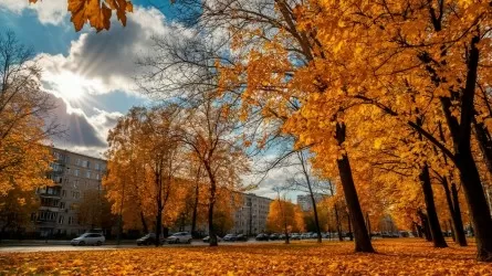 Осень бьет по женскому здоровью: врач предупредила о влиянии короткого светового дня
