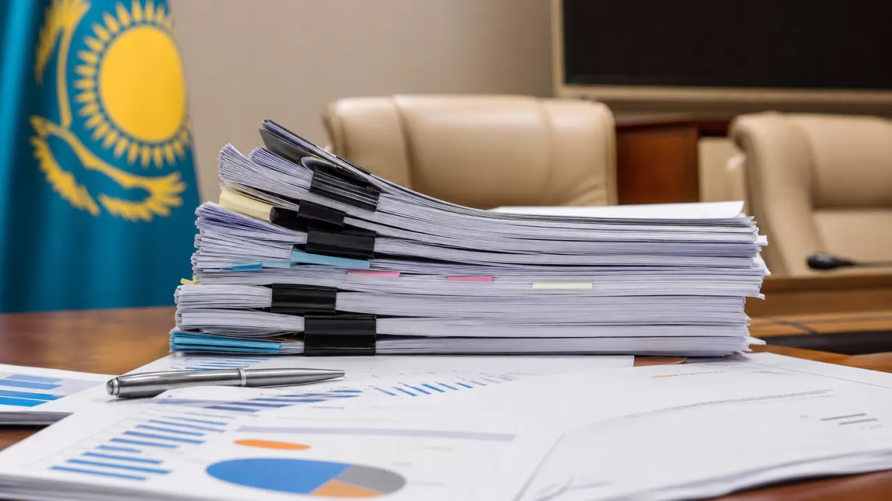 В бюджете 2027 года нет запаса прочности &ndash; Дания Еспаева 