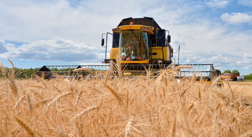 В ВКО отмечают повышение урожая зерновых, рапса и картофеля