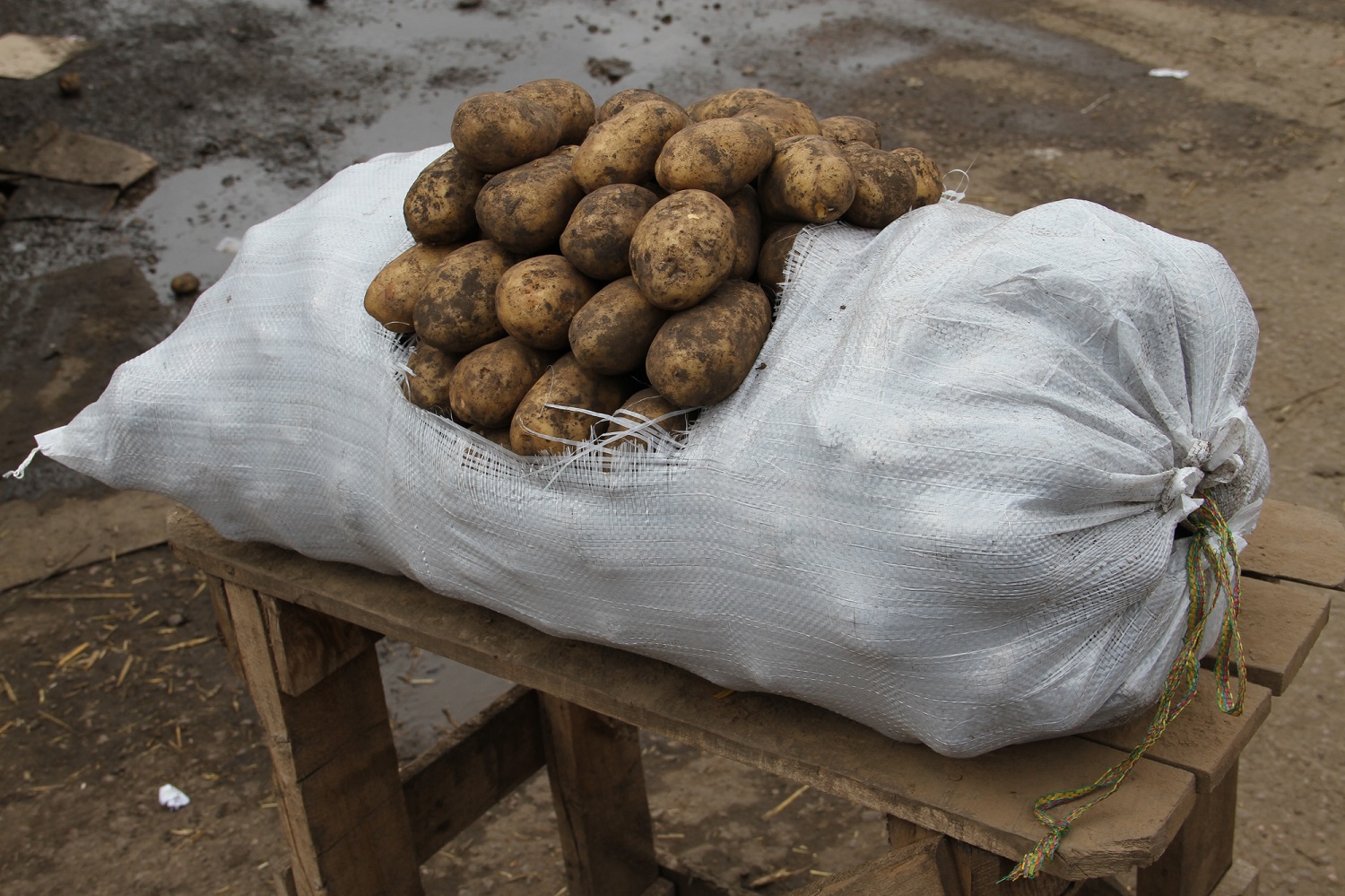 В Атырау началась реализация картофеля и овощей из стабфонда
