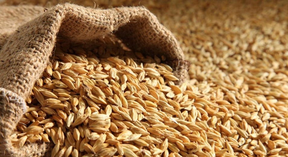 Запасы зерна в Казахстане достигли минимумов за последние пять лет