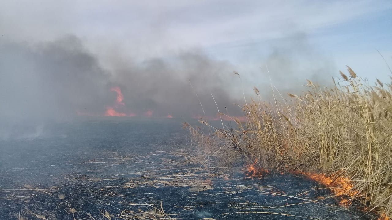 «Ақжайық» резерватындағы өрт сөндірілді