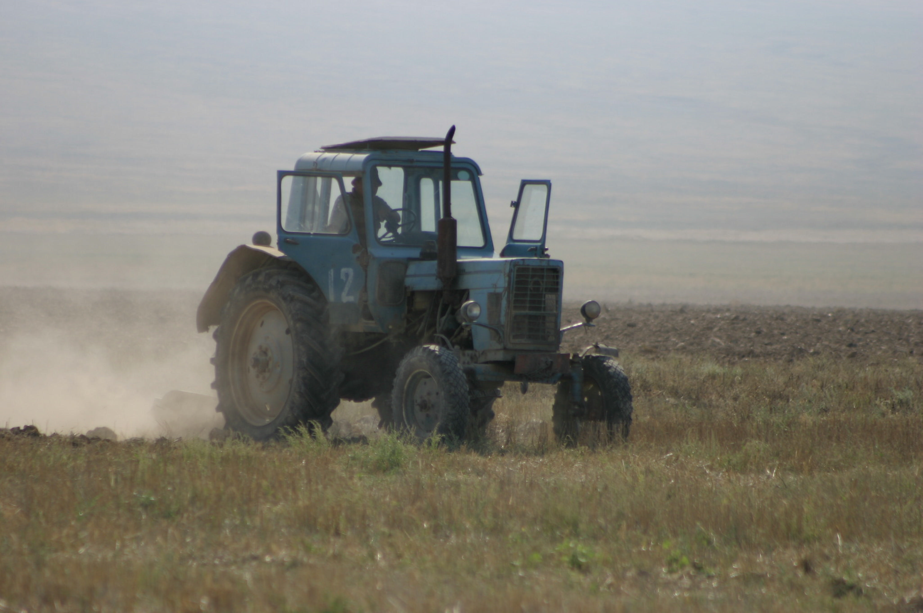 Биыл егіс алқабының көлемі 22,7 млн гектарға жеткізіледі