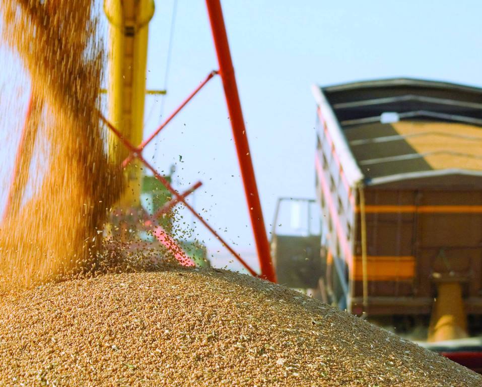 Экспортный потенциал по зерну в Казахстане снижен до 6-7 млн тонн