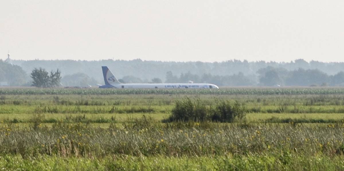 Airbus A321 аварийно сел в поле в Подмосковье
