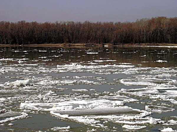 ШҚО өзендерінде су деңгейі күрт көтеріледі