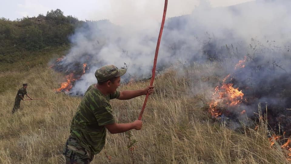 Алматы облысында таудағы өртті сөндіру кезінде 3 адам көз жұмды