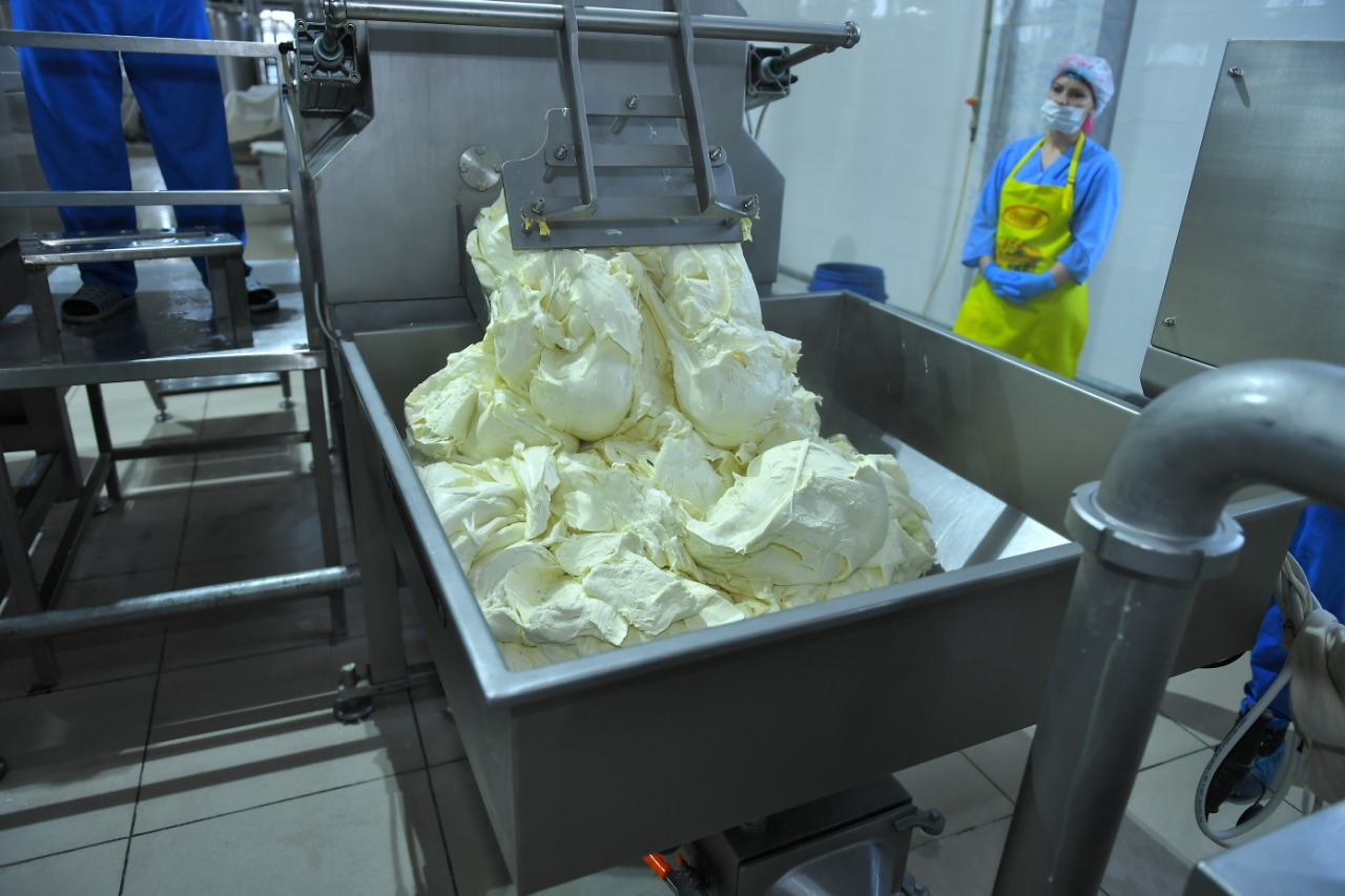 Молочный завод, выпускающий девять видов сыра, открыли в Туркестанской области