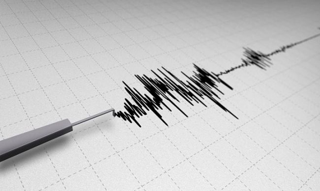 Казахстанские сейсмологи зафиксировали землетрясение в Кыргызстане магнитудой 4,7 