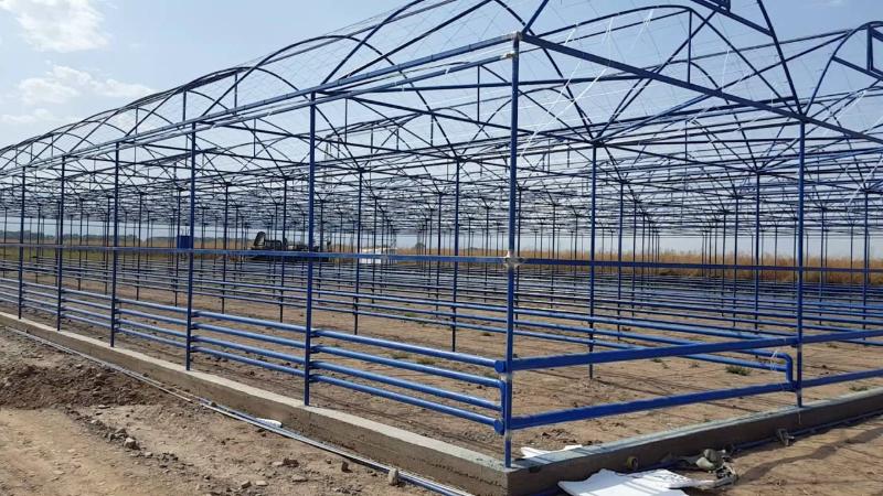 Түркістан облысында жылыжай салуға 245 гектар жер телімі бөлінді