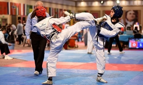 Таеквондисты РК завоевали 10 медалей на Austria Open  