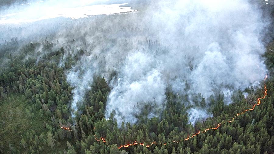 700 мың ресейлік төтенше жағдай жариялау туралы петицияға қол қойды