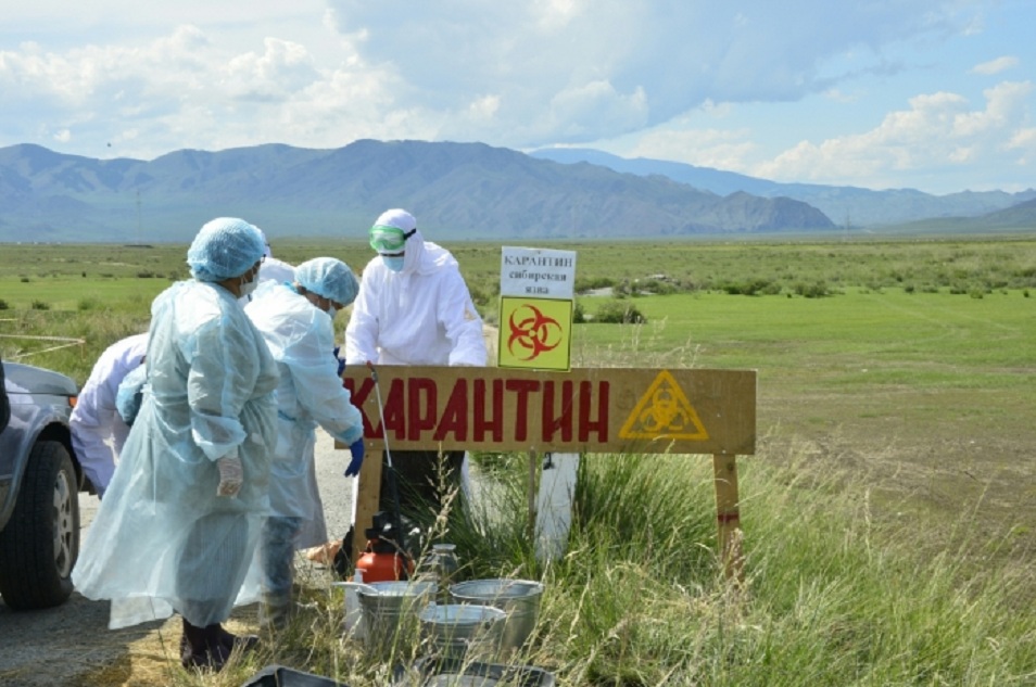 Сібір жарасына қатысты карантин алынды