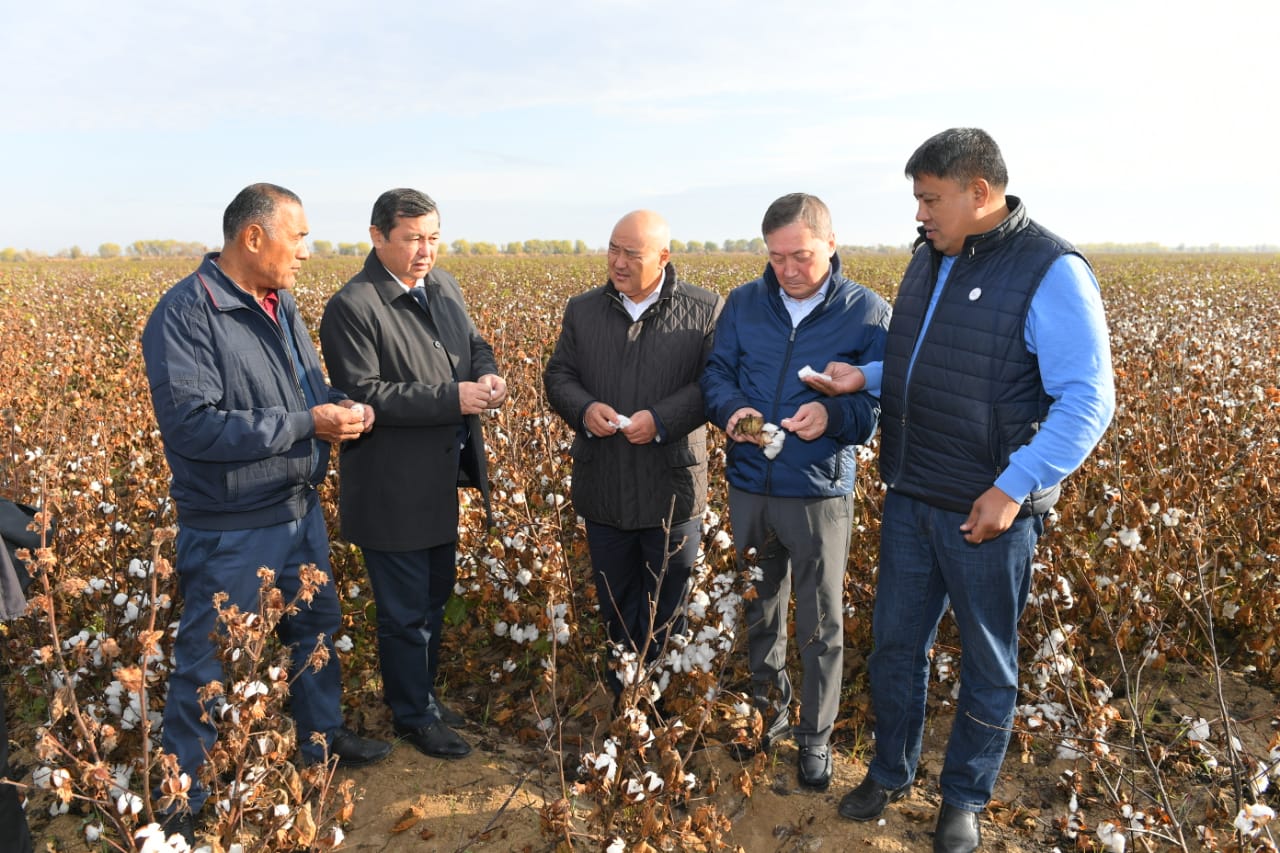 В Туркестанской области обсудили актуальные вопросы хлопководства