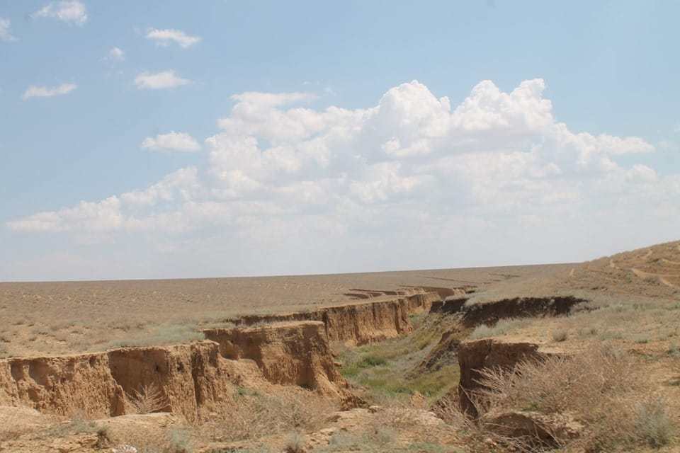 Қырықоба қорымында құрсақтағы сәби секілді жерлеу әдісі кездесті