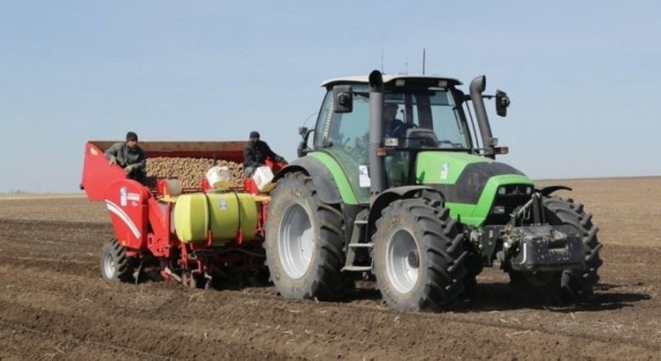 Запасы капусты в стабфонде Карагандинской области увеличат на 28% 