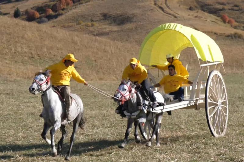 Алматы облысында өткен «Арба бәйгесінде» Қазақстан командасы жеңді