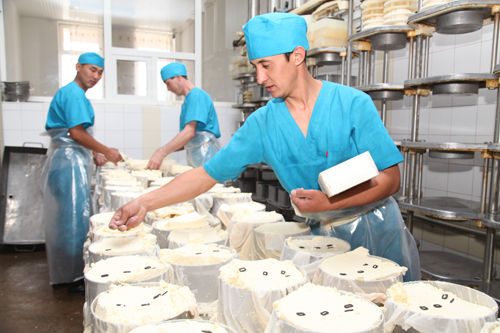 Сыроделы Жамбылской области планируют в 2019 году экспортировать до 40% продукции 