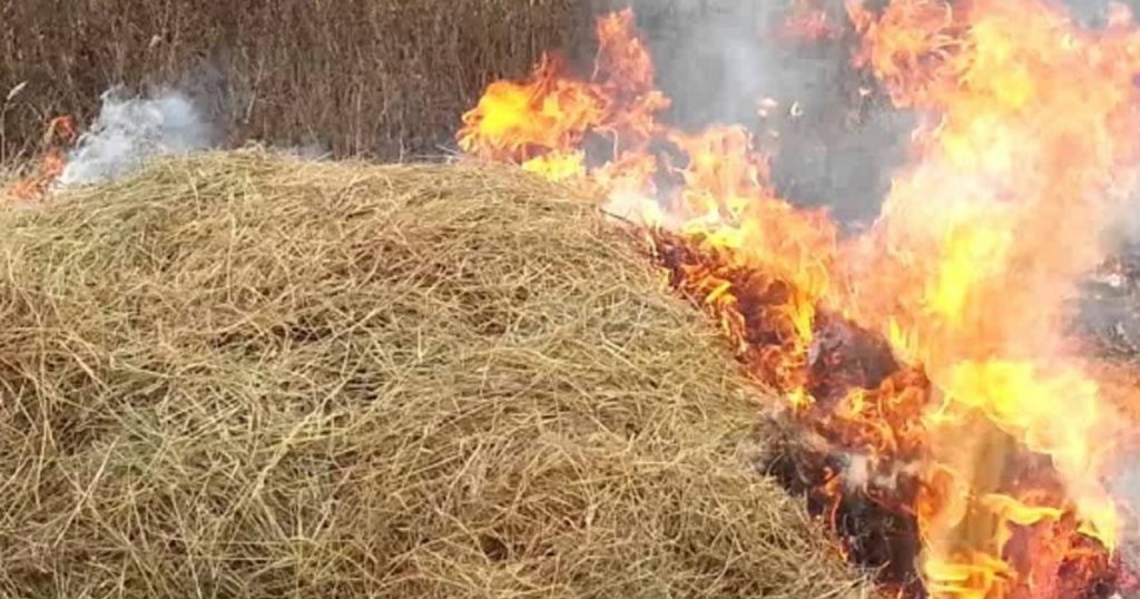 БҚО-да шаруа қожалығының 156 тонна шөбі өртеніп кетті