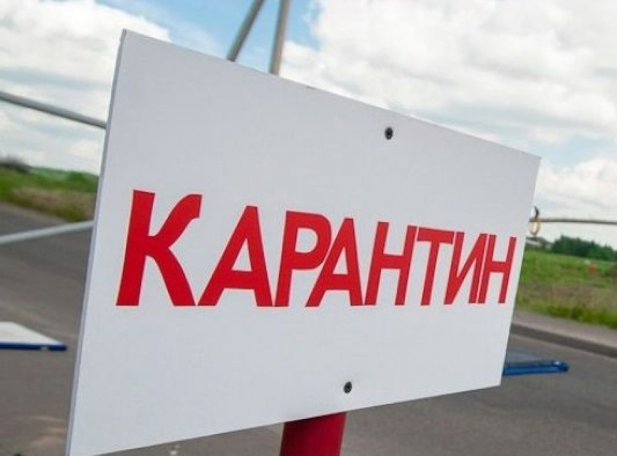 Более 200 костанайцев нарушили карантин за 10 дней