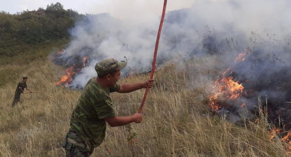 Өрт сөндіру кезінде қайтыс болған үш адам мемлекеттік наградаға ұсынылады