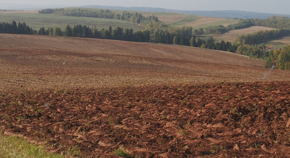 Кәсіпкердің мәселесіне салғырт қараған шенеунік жазаланды