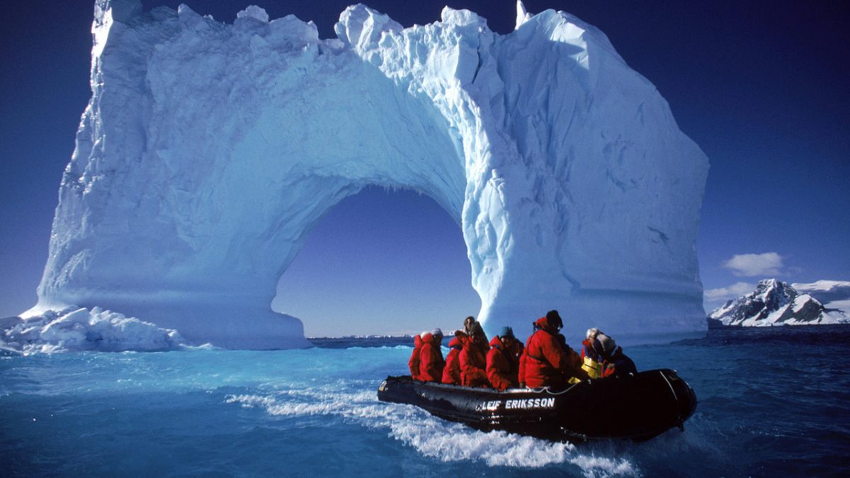 Каких животных нашли под шельфовым ледником Антарктиды   