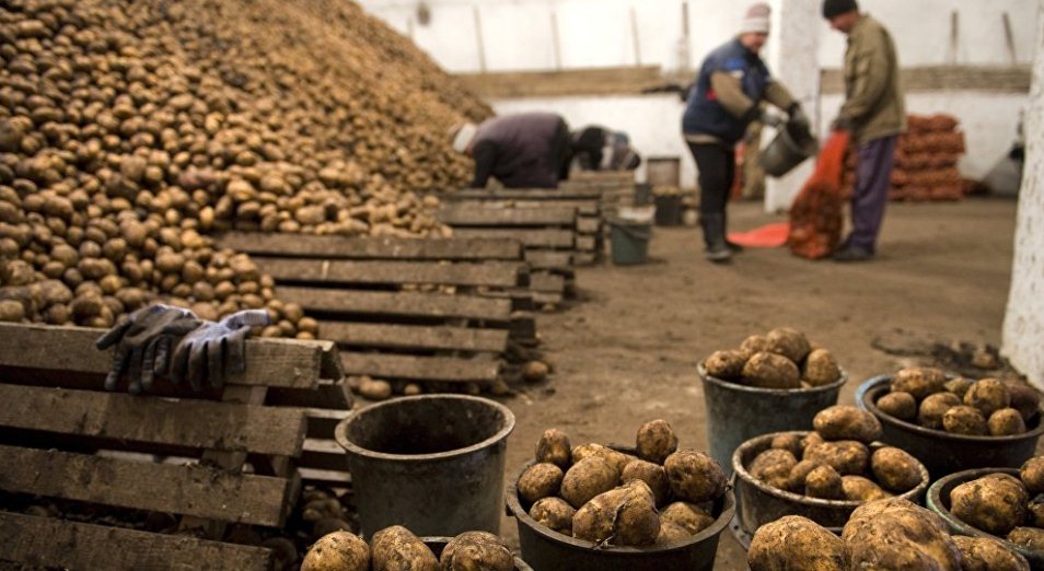 Казахстан ввел запрет на овощи из Кыргызстана и Узбекистана