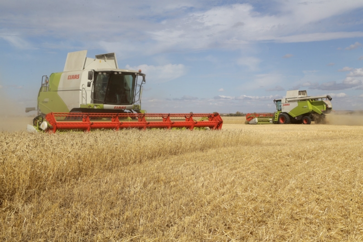Казахстанские аграрии к 4 октября убрали более 88% площадей зерновых