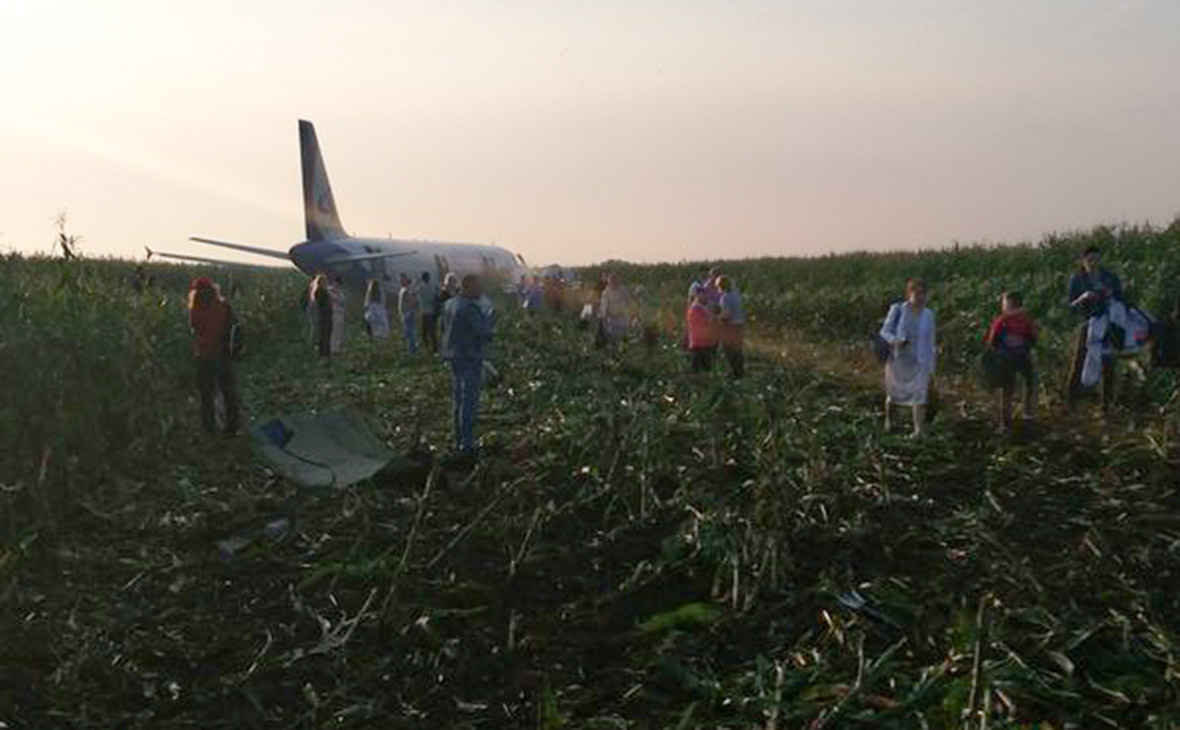 В больницы после аварии самолета под Москвой доставлены 29 человек
