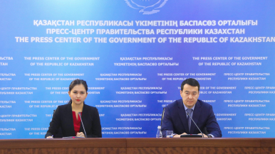 ҚР қаржы министрлігі: "Салық амнистиясы" 90 мың ШОБ субъектісін қамтиды