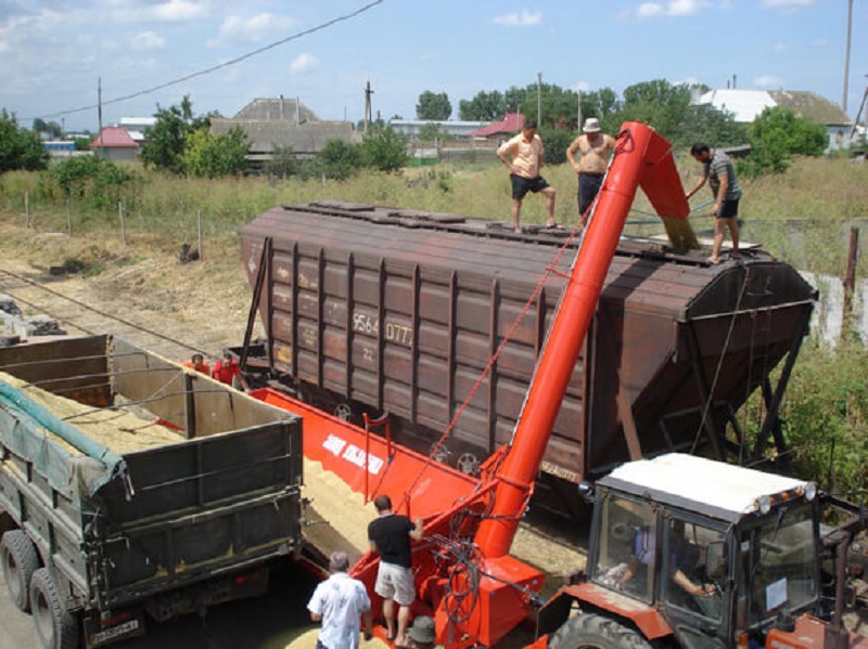 Компания «Астық Транс» сообщила о повышении стоимости предоставления вагонов-зерновозов 