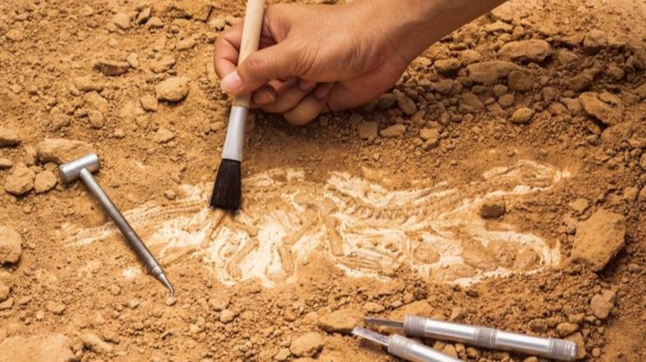 Валун с древними письменами нашли археологи при раскопках кургана на юге Казахстана