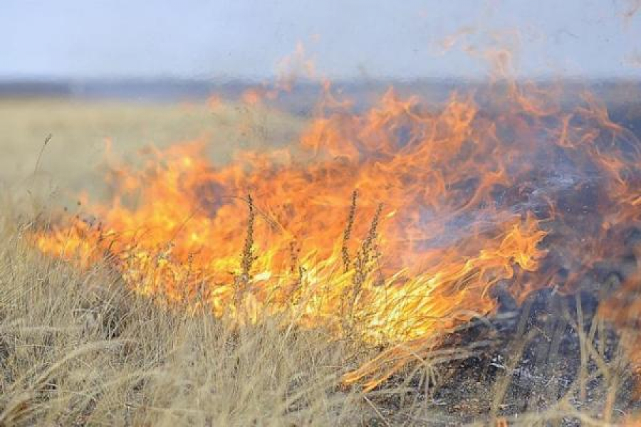 Пожар, идущий из РК, удалось остановить на границе с Алтайским краем