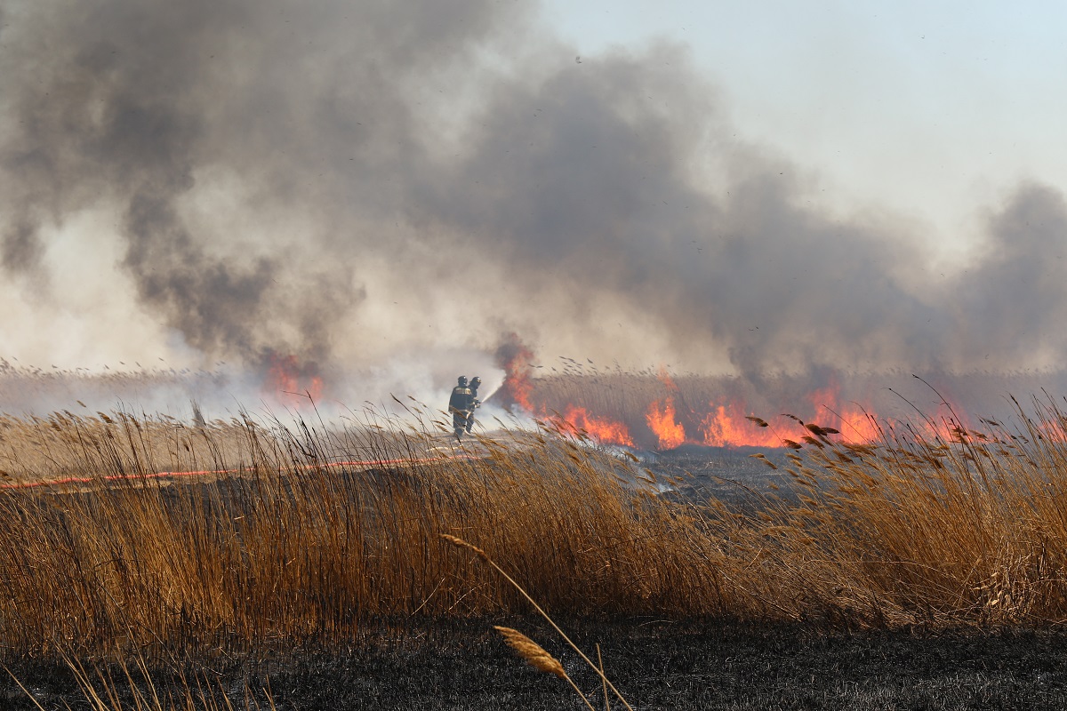 Природный пожар на казахстанском побережье Каспия потушен