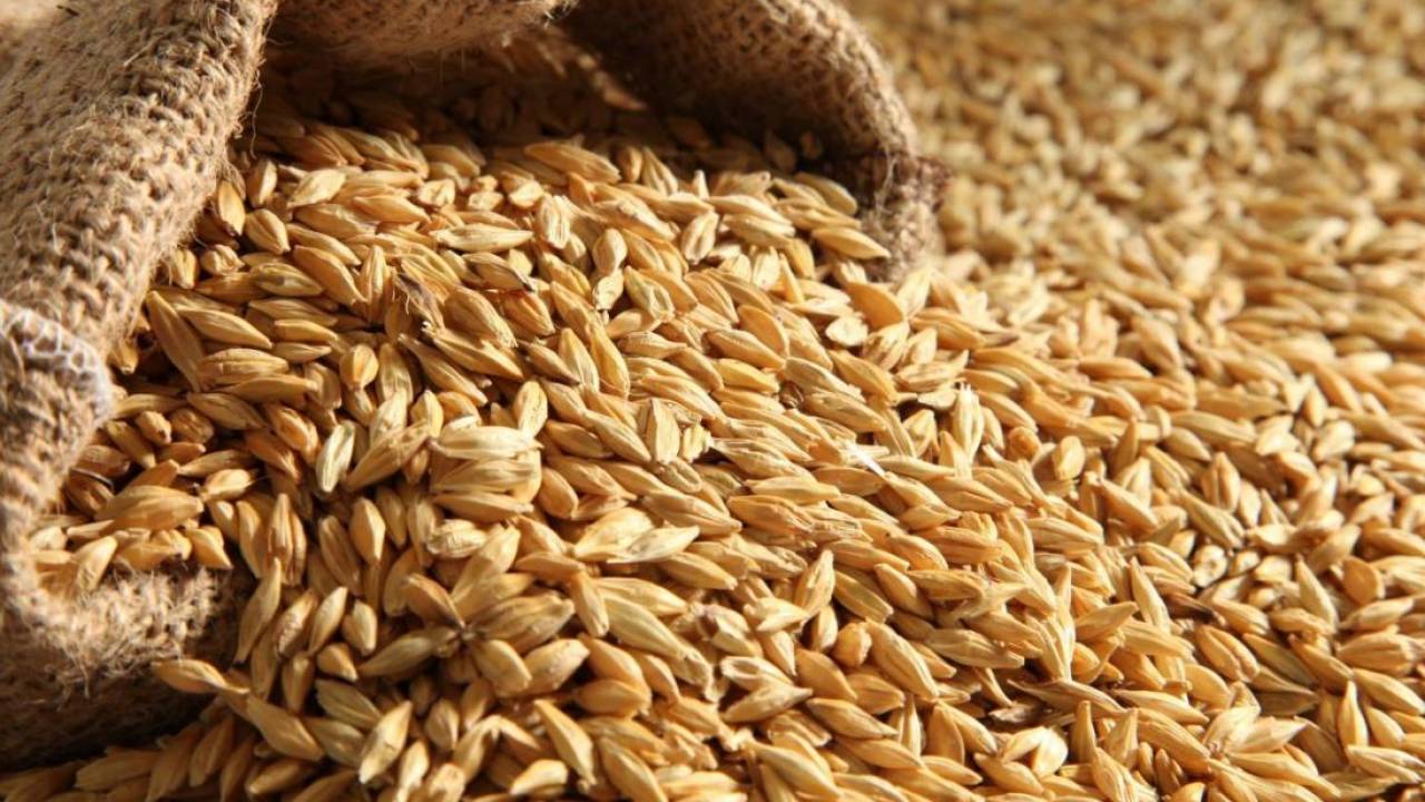 Казахстан намерен увеличить экспорт зерна и муки в Китай на 47,23%