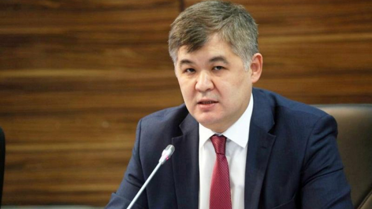 Елжан Биртанов поблагодарил ВОЗ