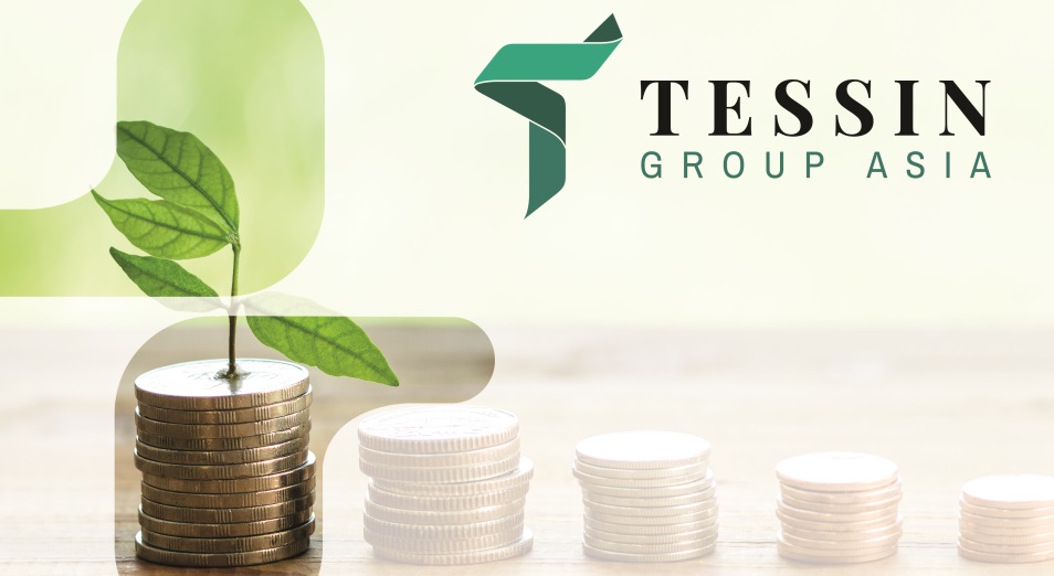 Tessin Group продолжает свою инвестиционную деятельность, сообщают в компании