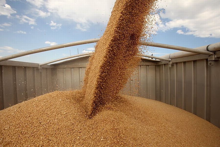 «КТЖ» перевезёт около 11 млн тонн зерна в 2018 году