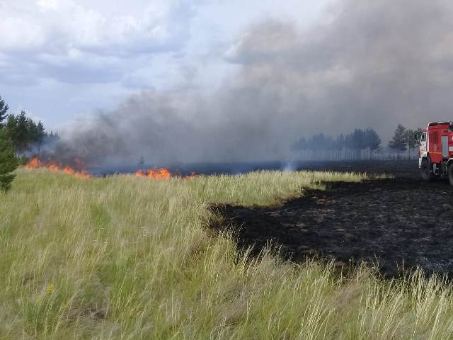В природном резервате "Ертіс орманы" произошел пожар 