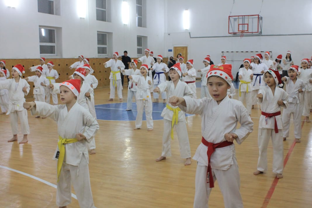 Акмолинские каратисты устроили флешмоб "2019 ударов" 
