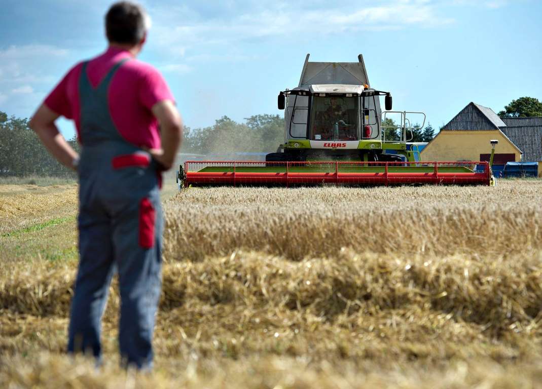 В каких сферах больше всего безработных – Росстат  