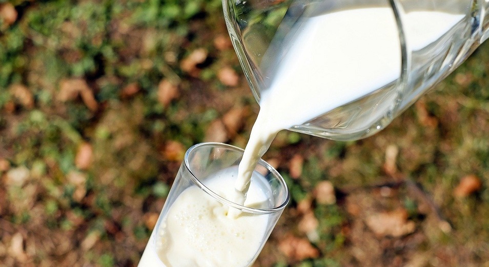 Растущие цены на молоко – следствие глобальных тенденций в экономике