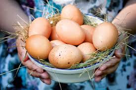 Сколько яиц в среднем потребляют казахстанцы?   