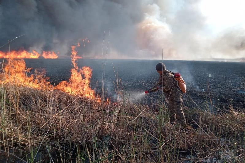 Неделю тушат пожар в природном резервате «Алтын дала» в Костанайской области  