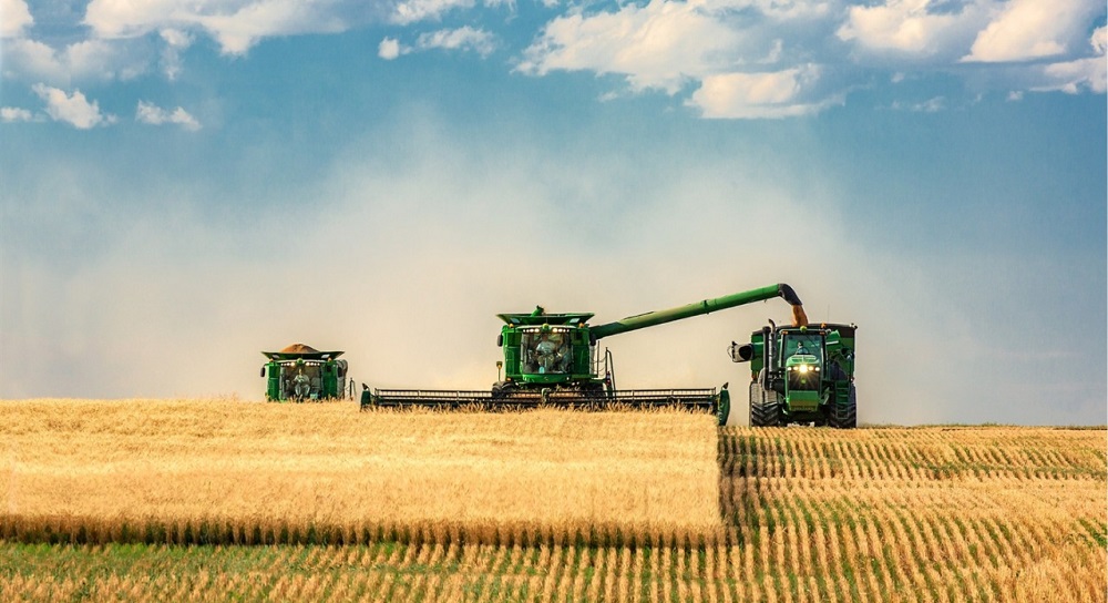 В Казахстане намолочено более 7 млн тонн зерновых и зернобобовых